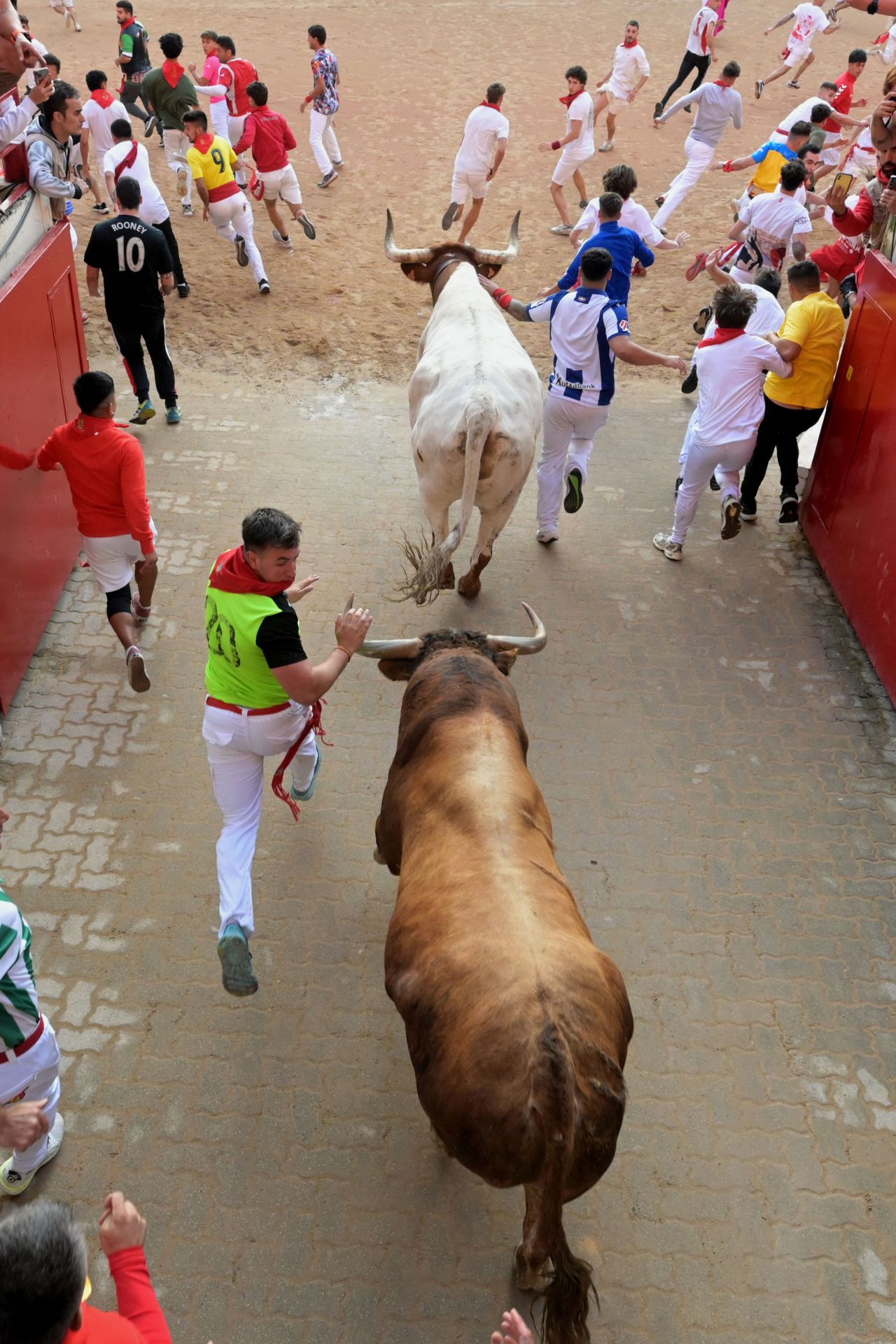 FOTOS | Séptimo encierro de San Fermín 2025