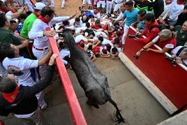 Séptimo y penúltimo encierro de San Fermín 2025