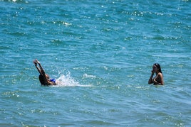 La temperatura del mar ha alcanzado cifras de récord.