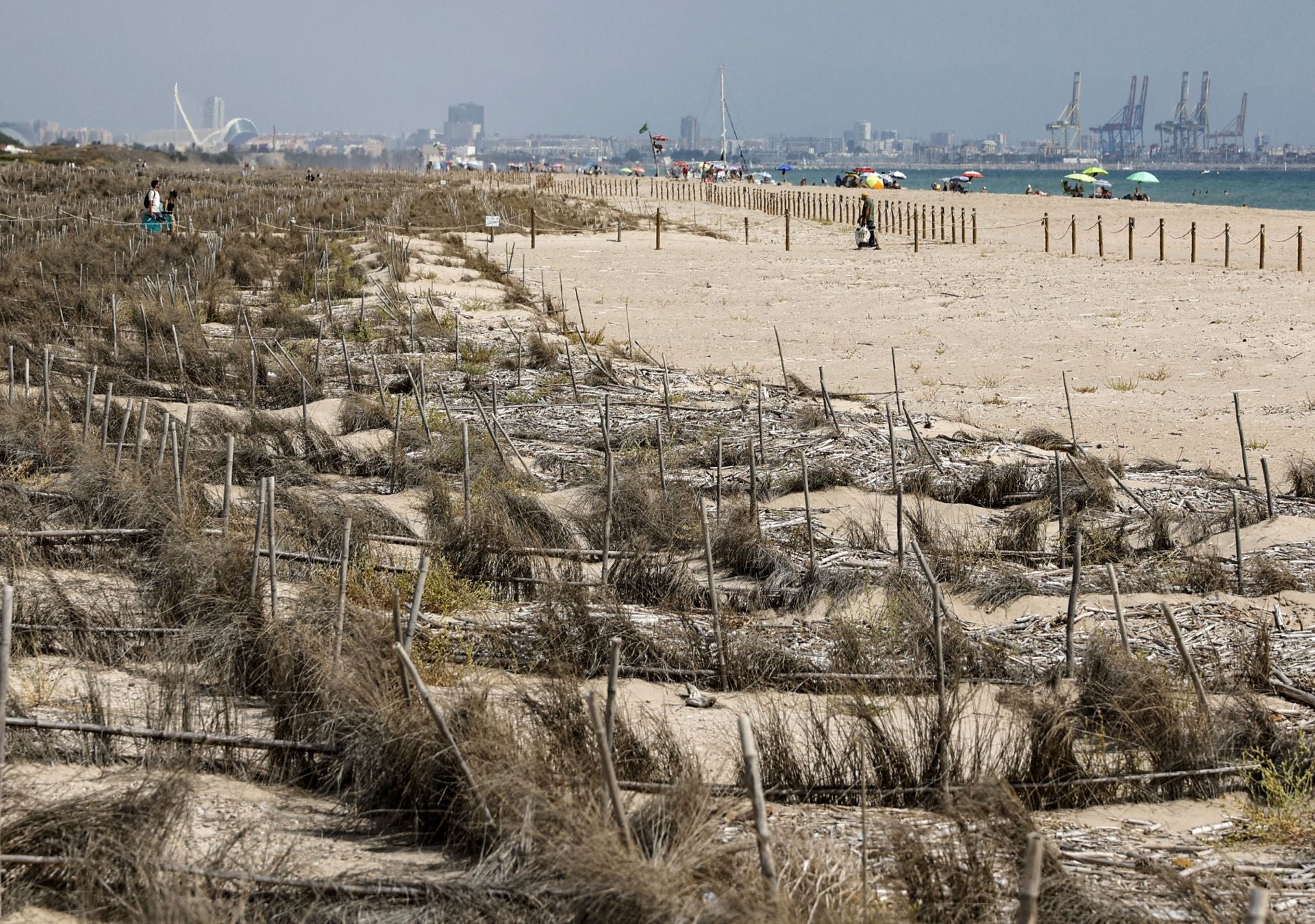 El temporal golpea a las playas del Saler año y medio después de la regeneración