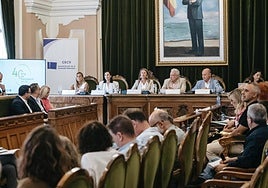 Reunión del Consell Escolar de la Comunitat Valenciana, el pasado día 8.