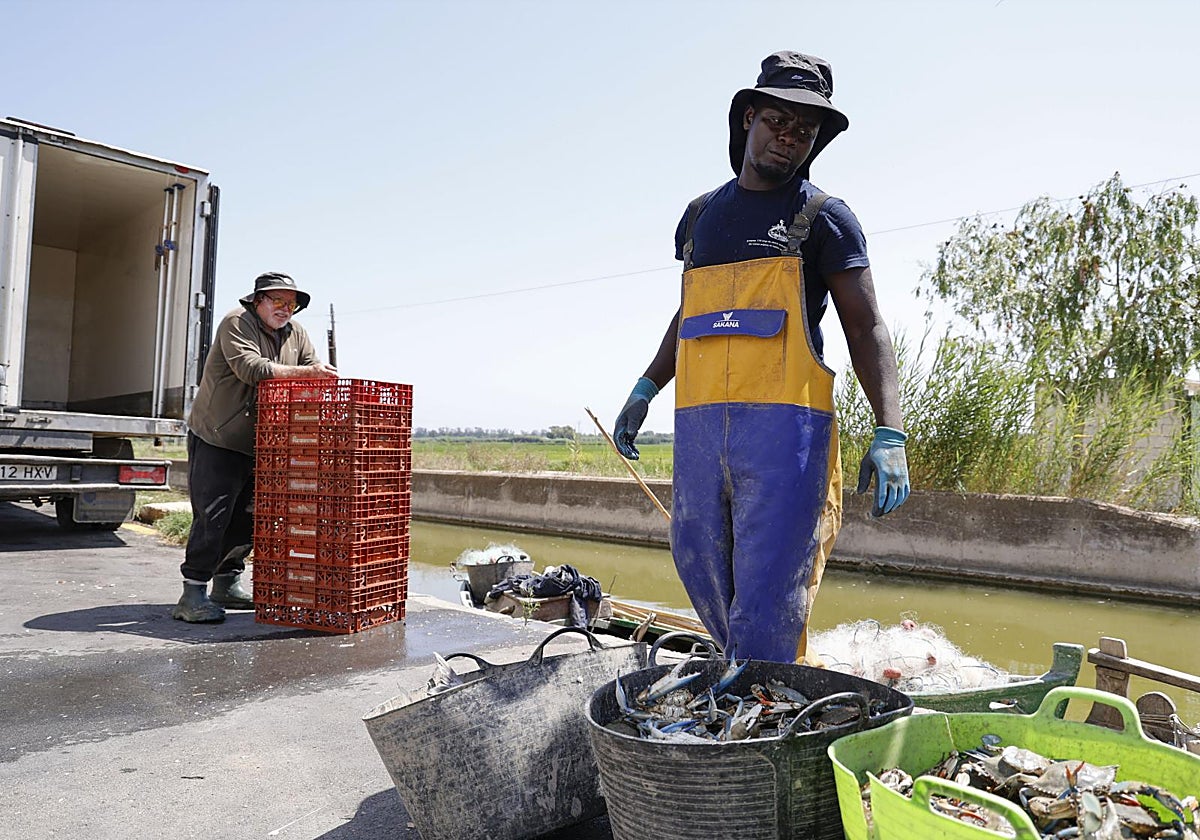 Mustapha regresó con dos capazos de cangrejos y uno de llisses.