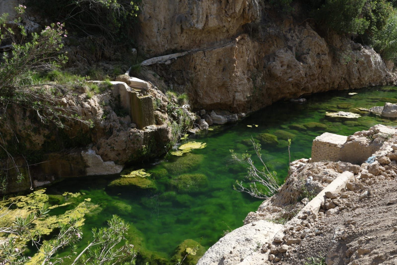 Fotos: Grupos de bañistas sufren nuevas infecciones en aguas del río Buñol