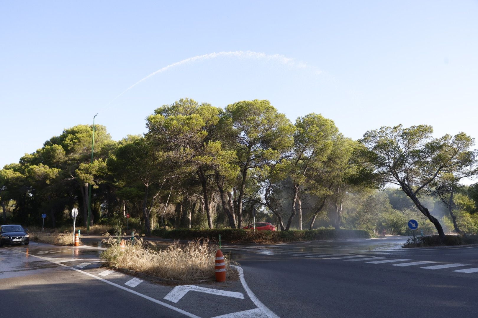 Los cañones del Saler 'riegan' el bosque ante el riesgo de incendio