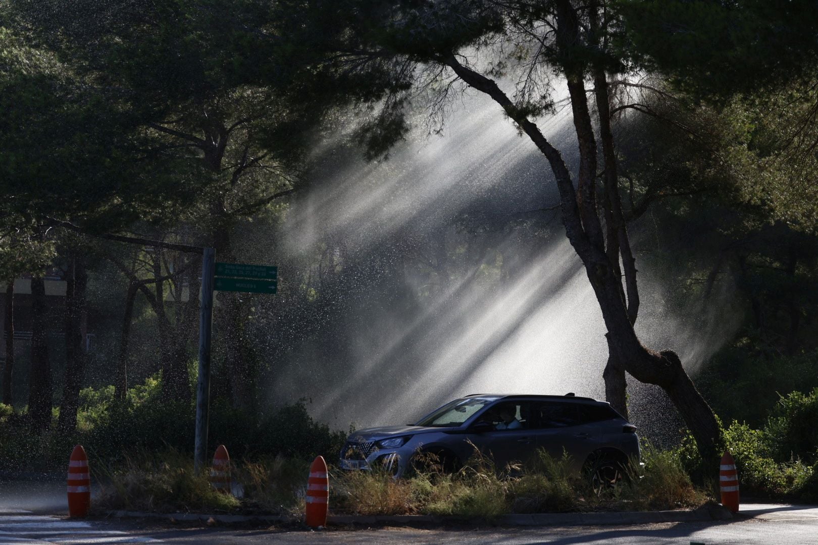 Los cañones del Saler 'riegan' el bosque ante el riesgo de incendio