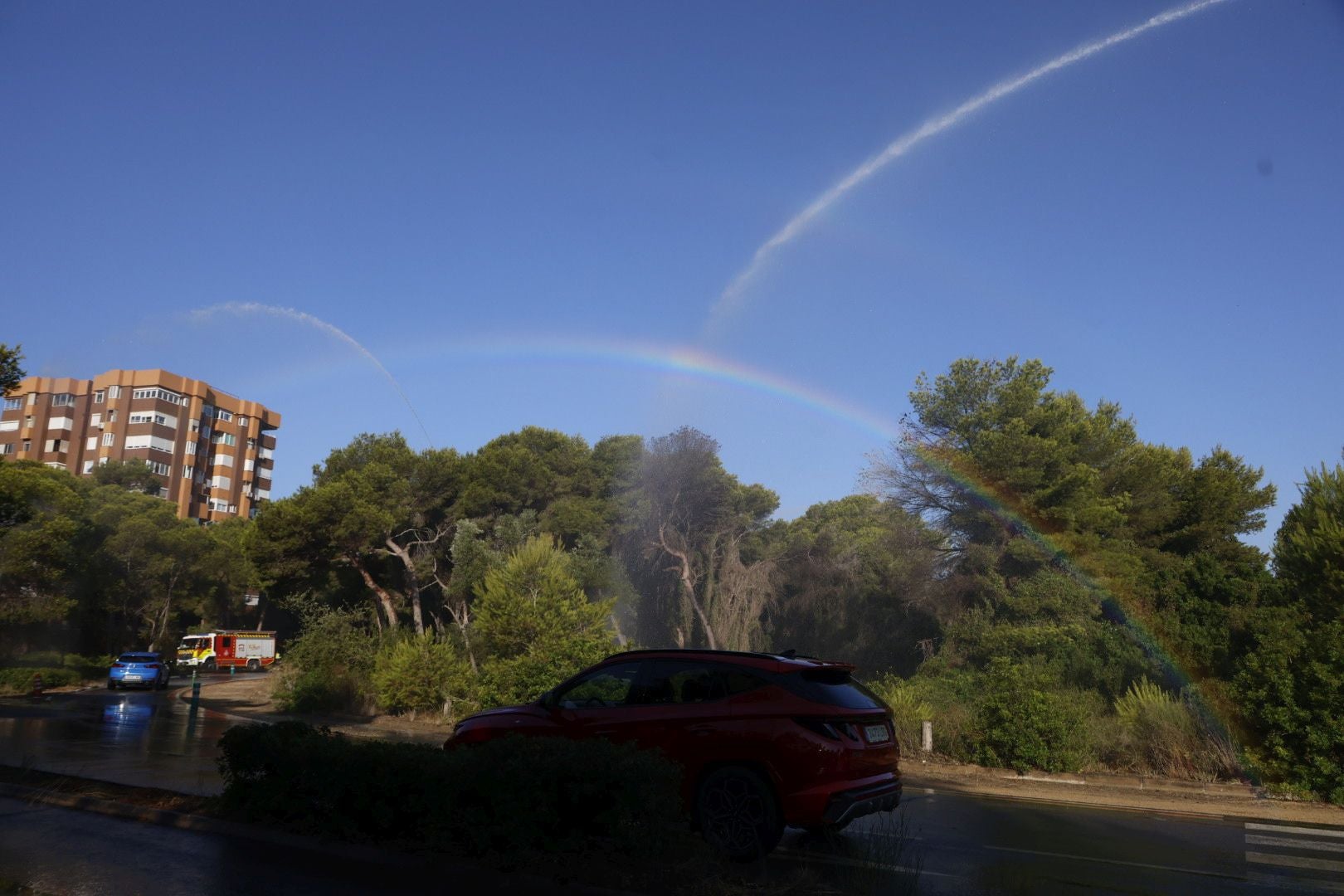 Los cañones del Saler 'riegan' el bosque ante el riesgo de incendio