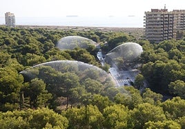 Los cañones del Saler 'riegan' el bosque ante el riesgo de incendio