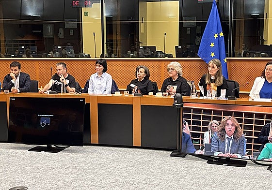 Las víctimas de la dana en su visita al Parlamento Europeo en mayo.