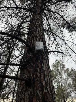 Uno de los sensores.