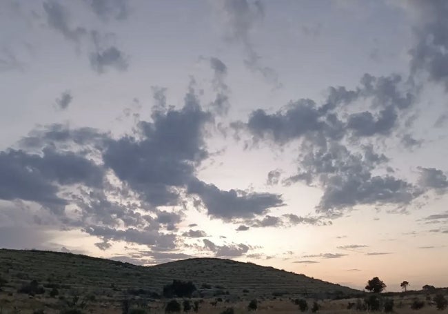 Imágenes al atardecer.