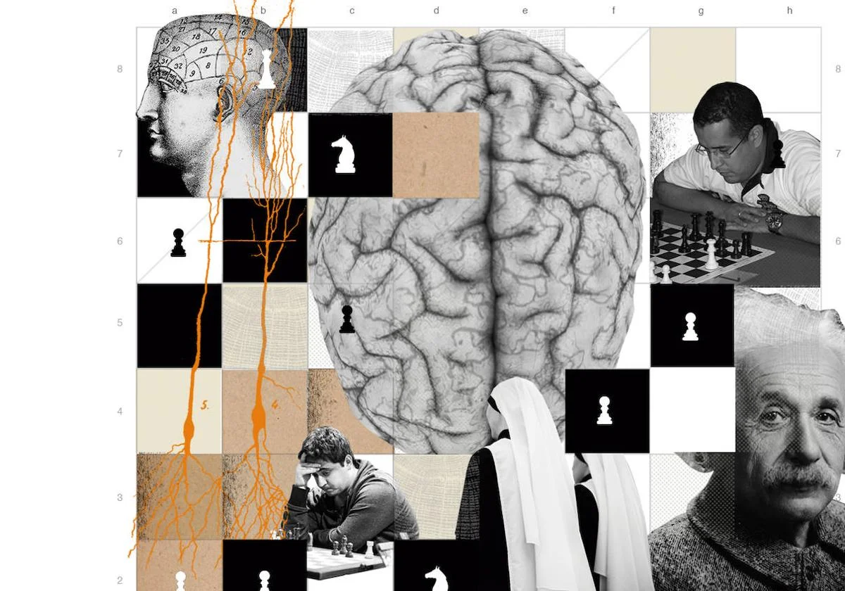 Jaque mate al alzheimer: el deporte como terapia para envejecer mejor