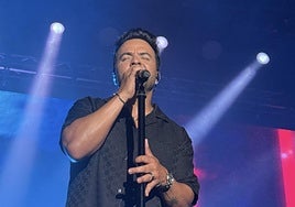 Luis Fonsi en su concierto en Valencia