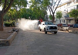 Fumigación en un paseo de Alfafar.