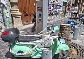 Zona donde ha caído la palmera.