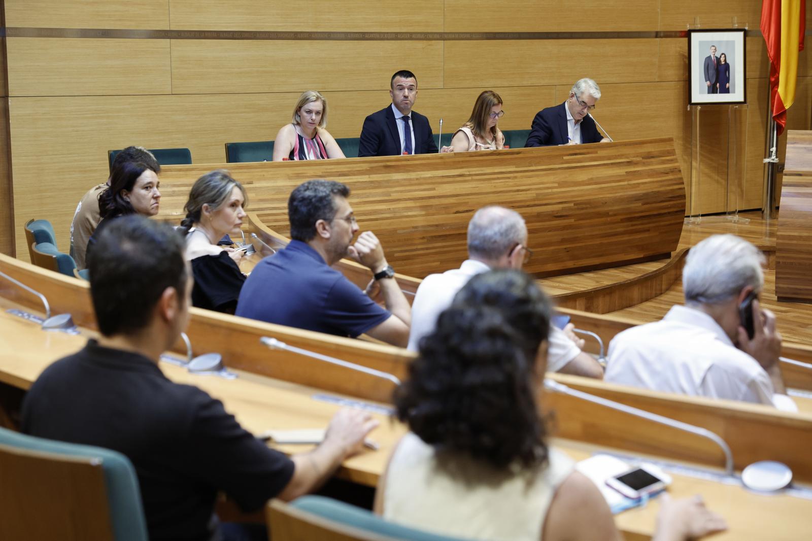 Momento de la comisión de la dana de la Diputación en la que han participado las asociaciones de vítimas.