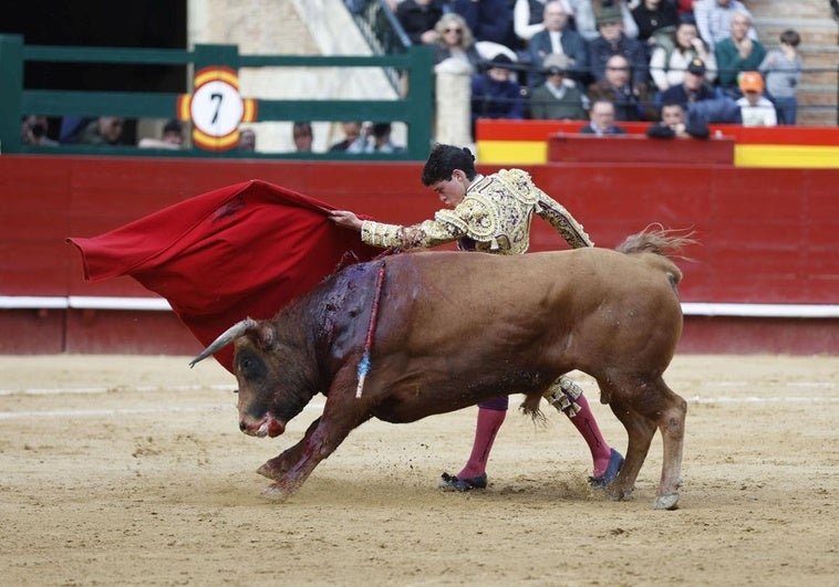 À Punt retransmitirá el Circuito Valenciano de Novilladas 2025