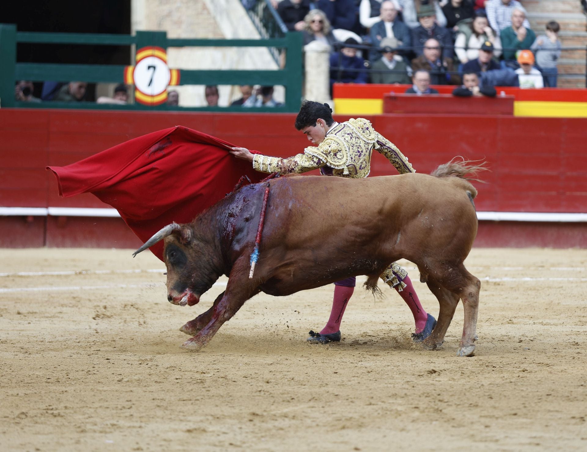 Roberto Martín 'Jarocho', durante la novillada en la que participó en Valencia.