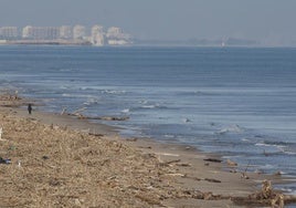 Zona de playa en el término municipal de Sueca.