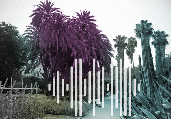 La palmera de los 27 brazos y otras maravillas: los secretos del Jardín Botánico