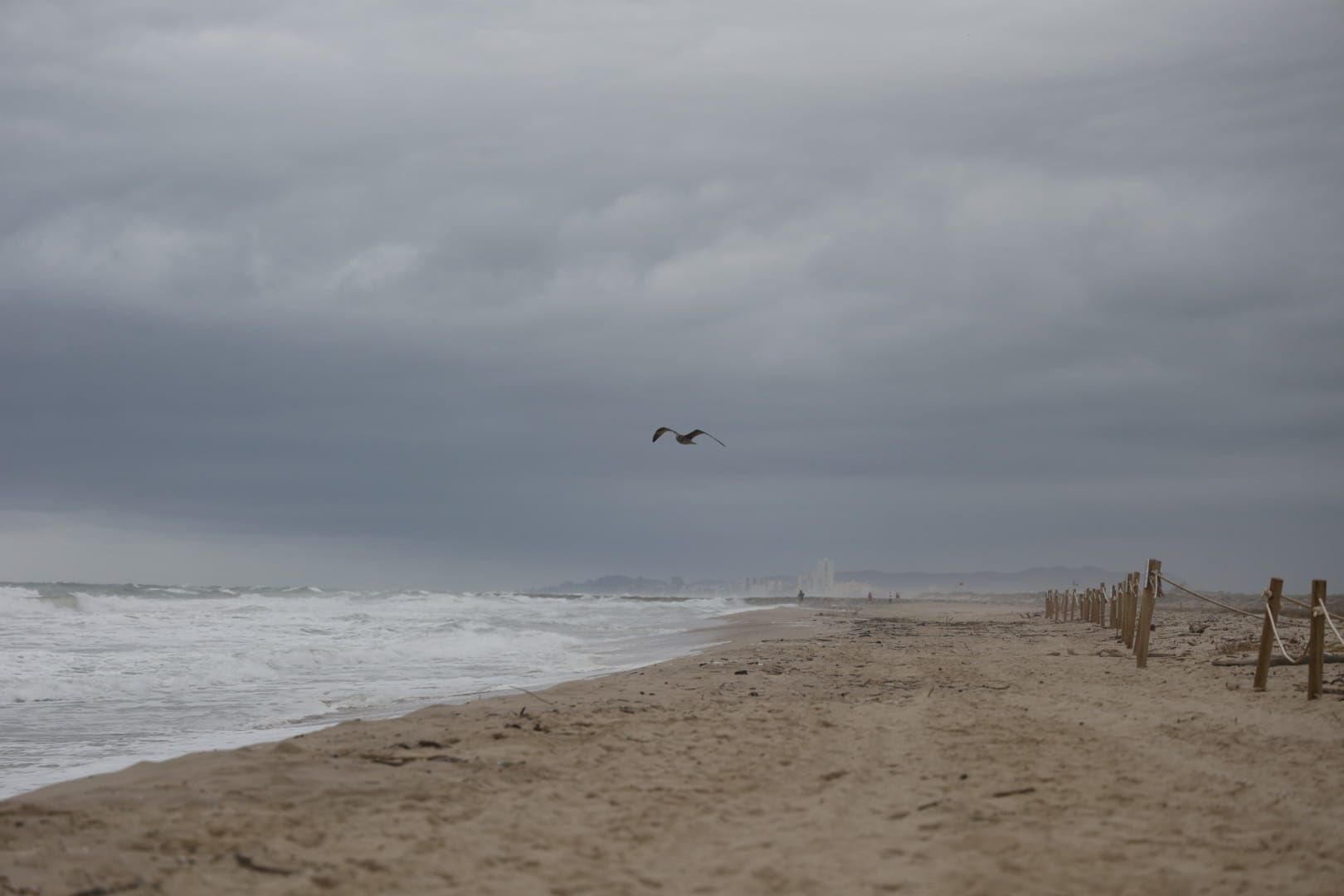 Bandera roja en la mayoría de playas de Valencia