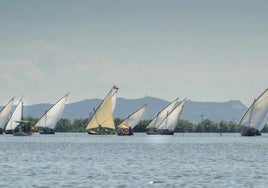 Exhibición de vela latina.