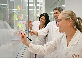 El Pozo Alimentación clausura con éxito sus Grupos de Mejora con más de 200 ideas innovadoras