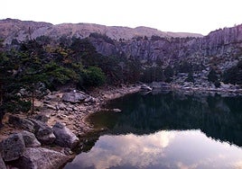 Ni los Alpes Suizos ni Noruega: el mayor pinar silvestre de Europa está en España