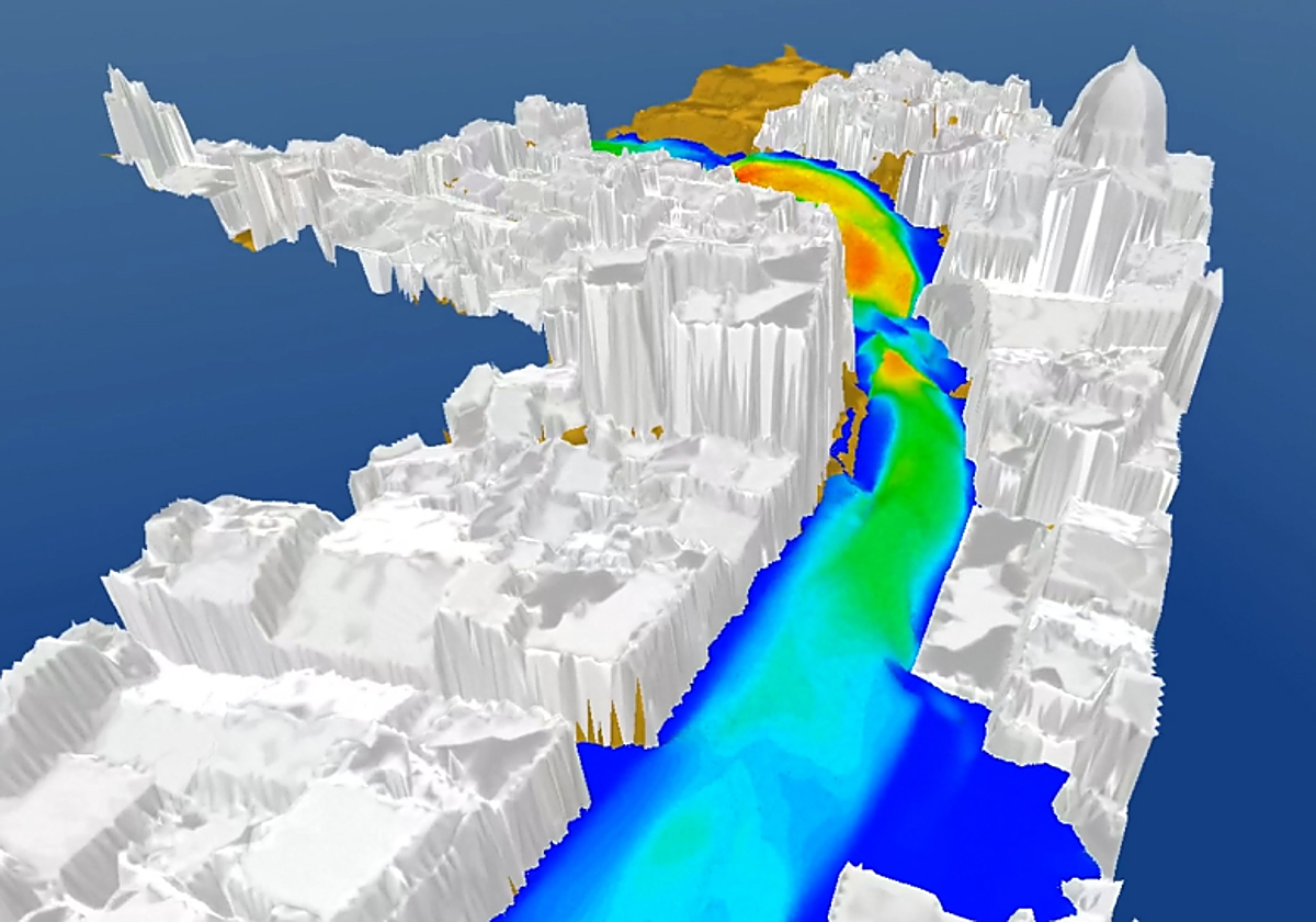 Anatomía de una tragedia