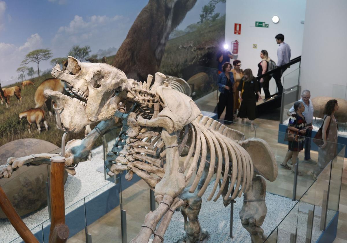 Así es el nuevo museo de Ciencias Naturales de Valencia