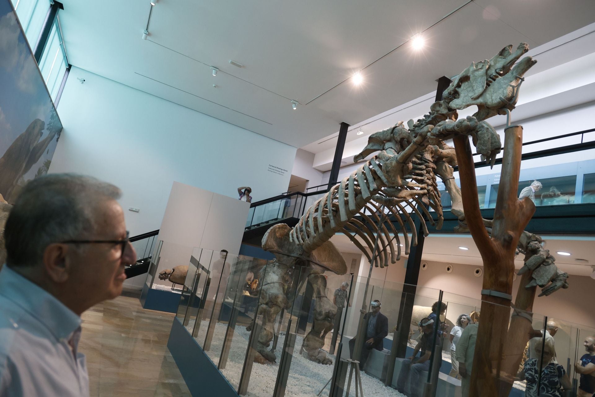 Así es el nuevo museo de Ciencias Naturales de Valencia
