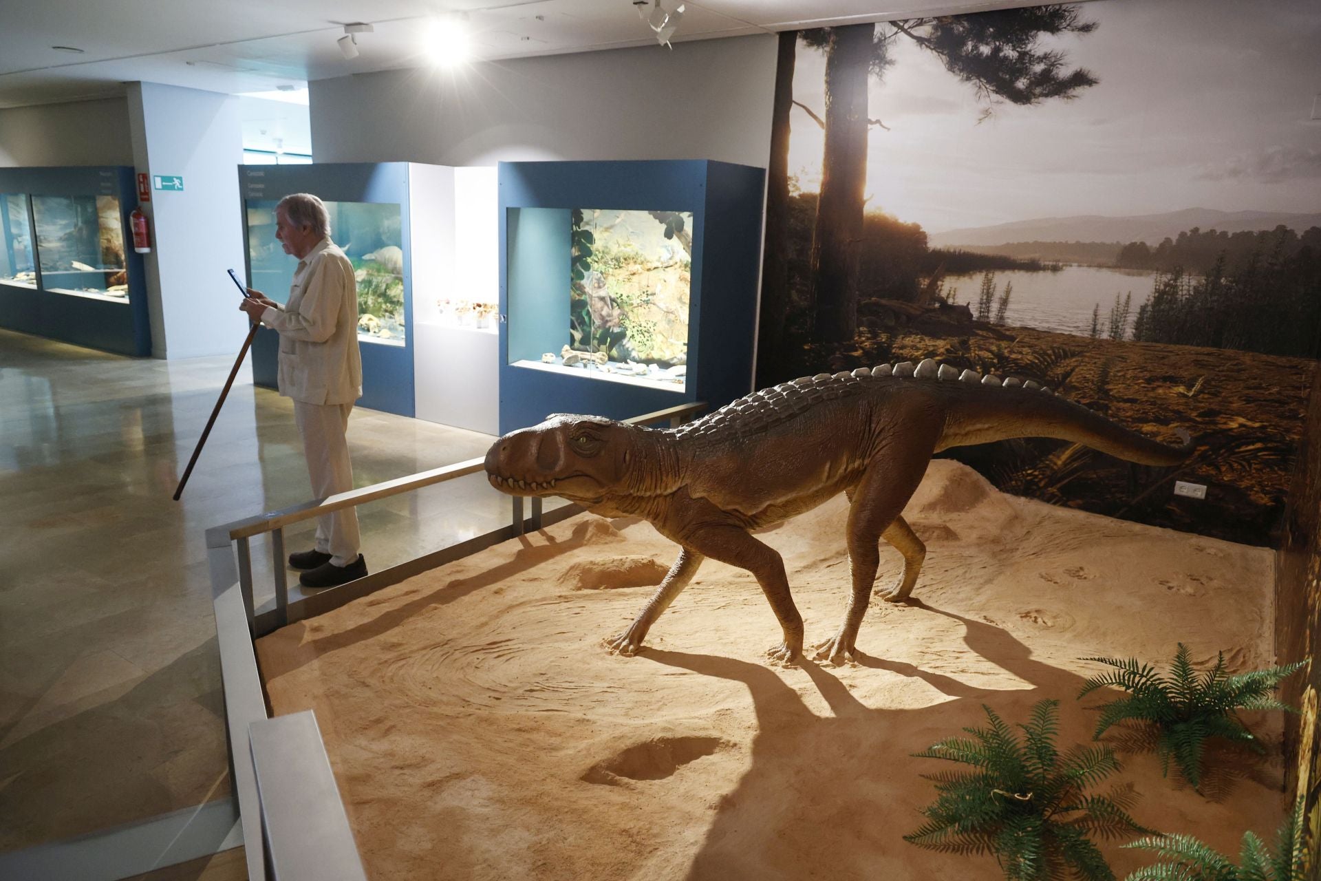 Así es el nuevo museo de Ciencias Naturales de Valencia