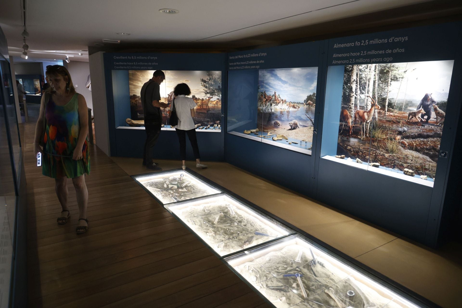 Así es el nuevo museo de Ciencias Naturales de Valencia