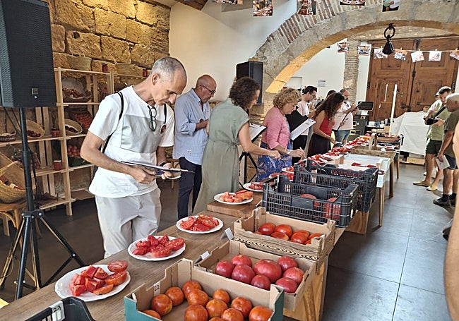 Concurso de tomates en Els Magazinos