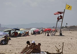 Bandera amarilla en El Saler.