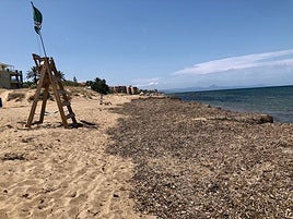 Tramo de Les Marines que suscita las quejas por la presencia de posidonia.