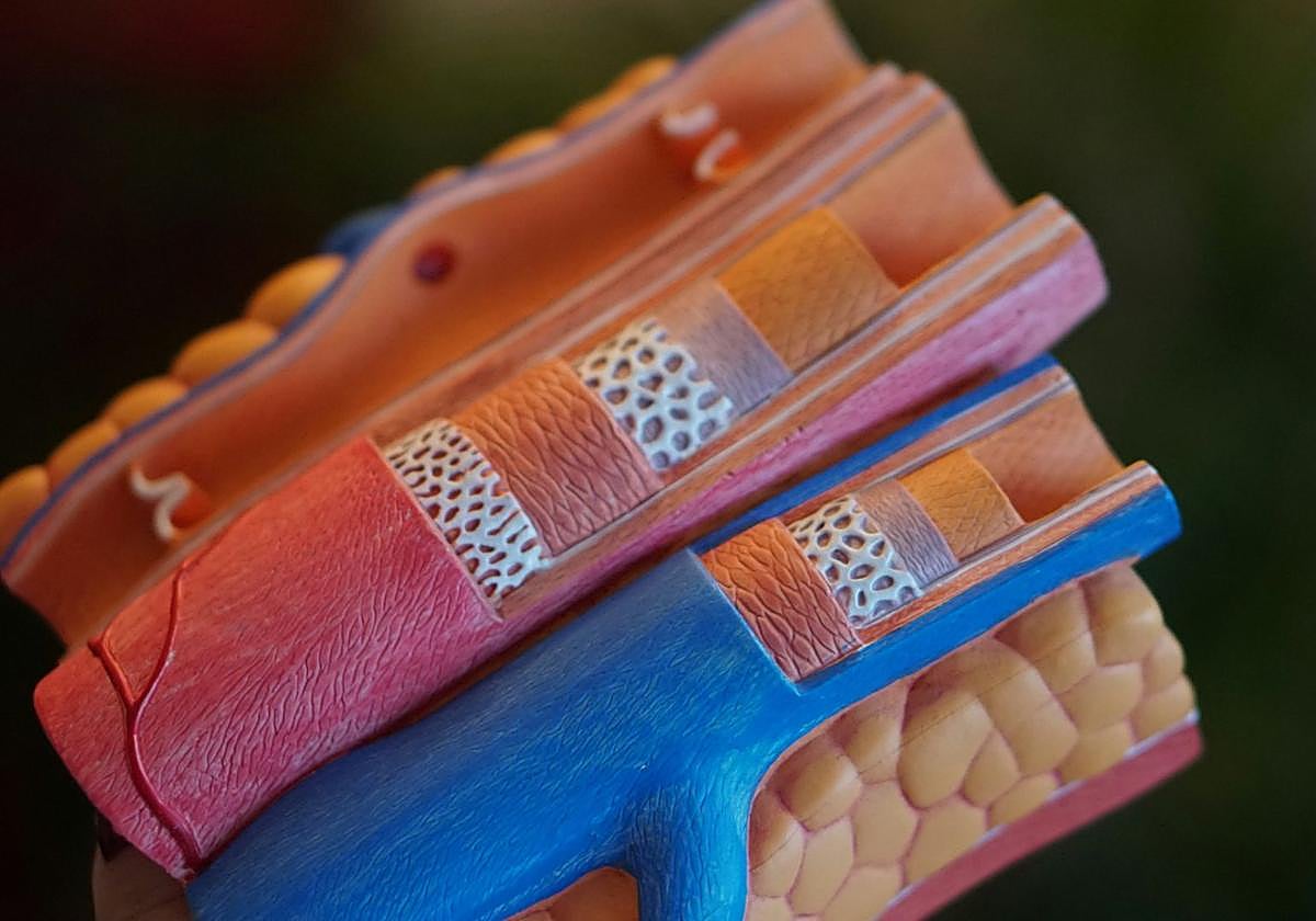 Un nuevo estudio relaciona el consumo de una fruta con unos mejores niveles de colesterol