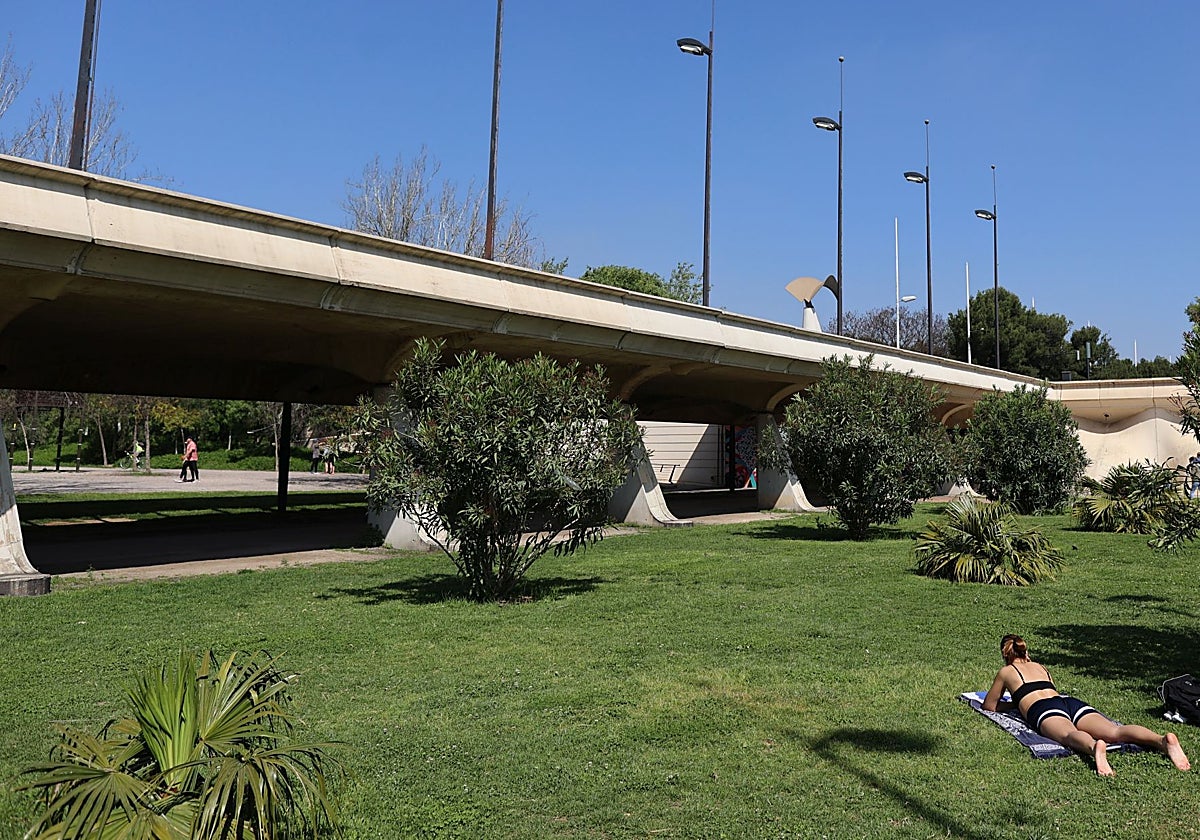 Tramo del jardín del Turia en Valencia.