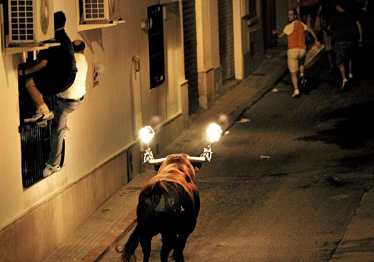 Personas corriendo de un 'toro embolado'