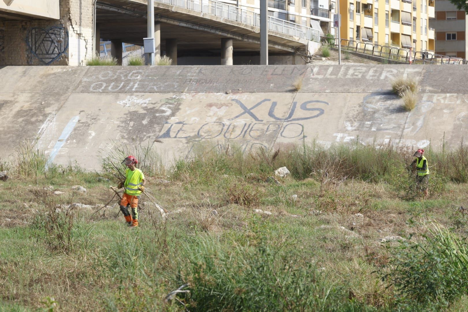 El Ayuntamiento de Valencia limpia el cauce del río ante el retraso de la CHJ