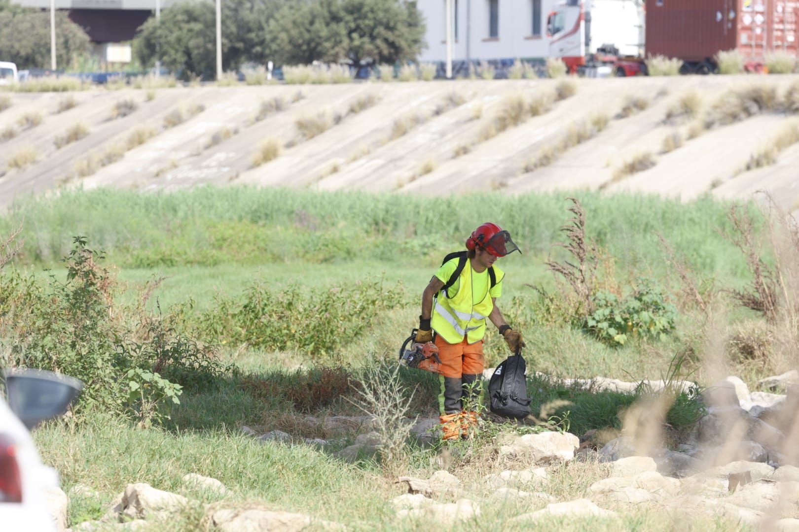 El Ayuntamiento de Valencia limpia el cauce del río ante el retraso de la CHJ