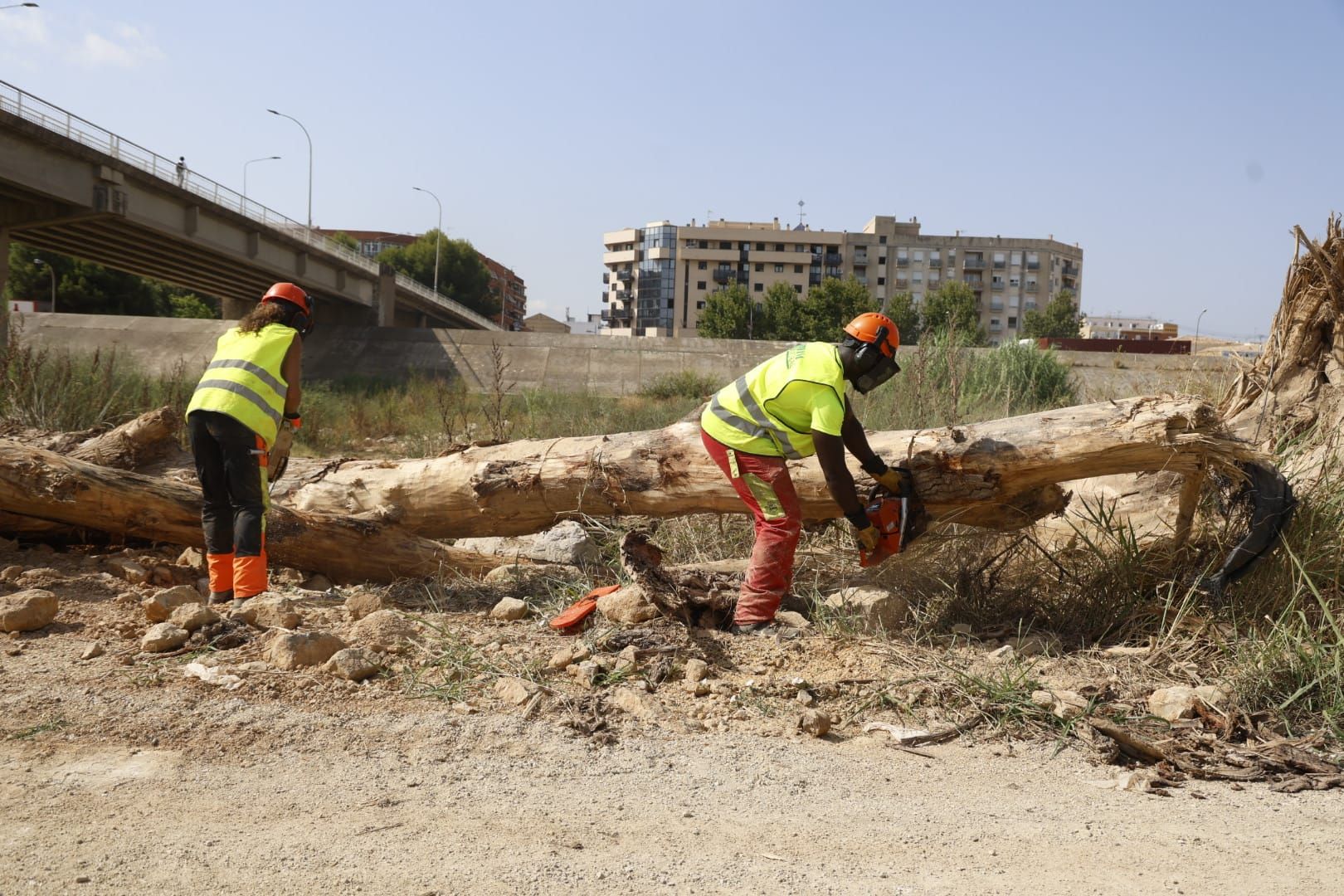 El Ayuntamiento de Valencia limpia el cauce del río ante el retraso de la CHJ