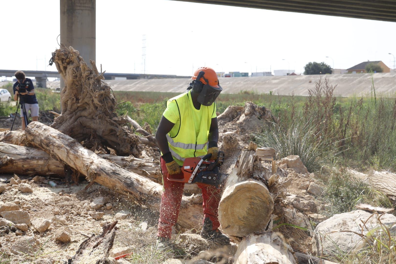 El Ayuntamiento de Valencia limpia el cauce del río ante el retraso de la CHJ