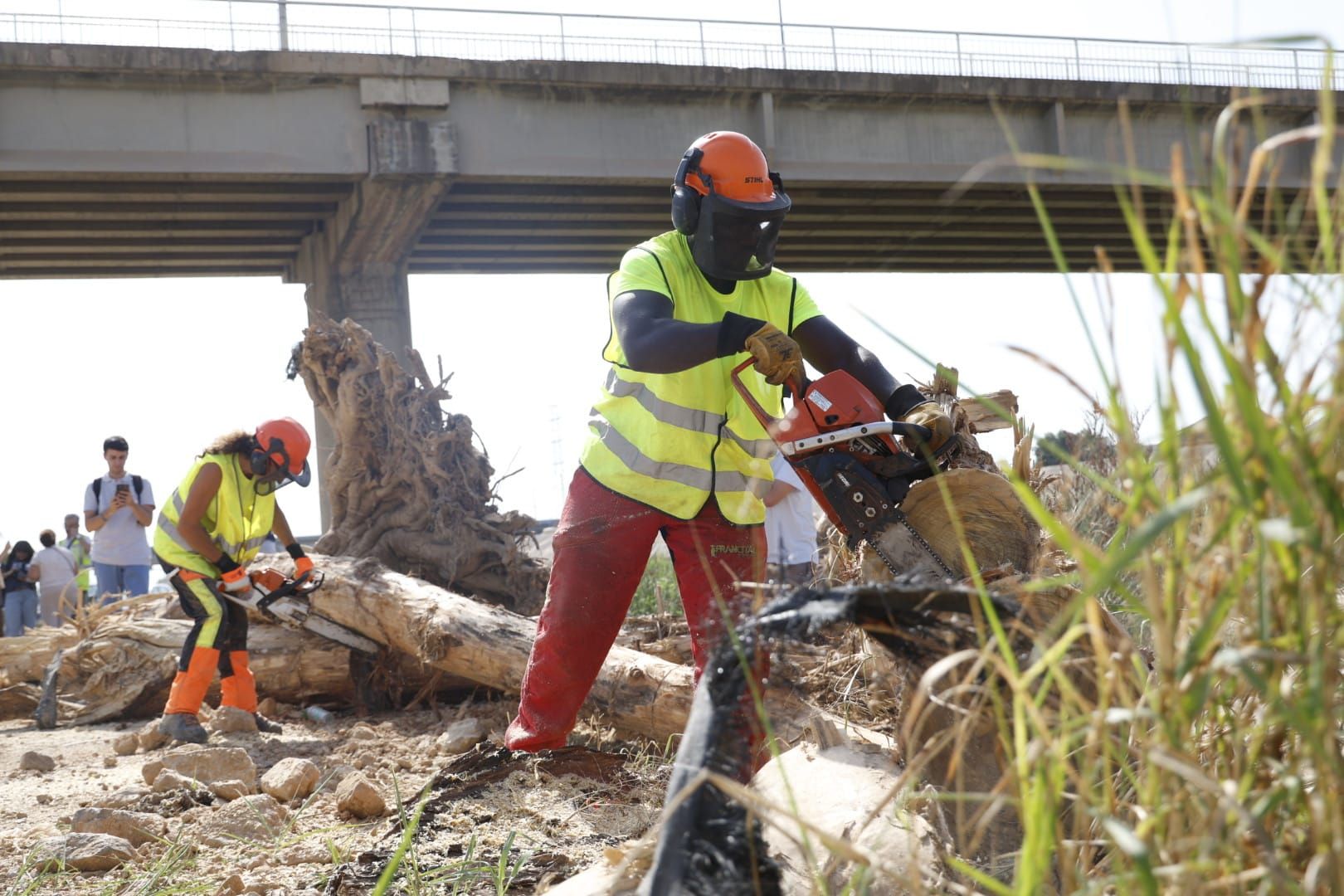 El Ayuntamiento de Valencia limpia el cauce del río ante el retraso de la CHJ