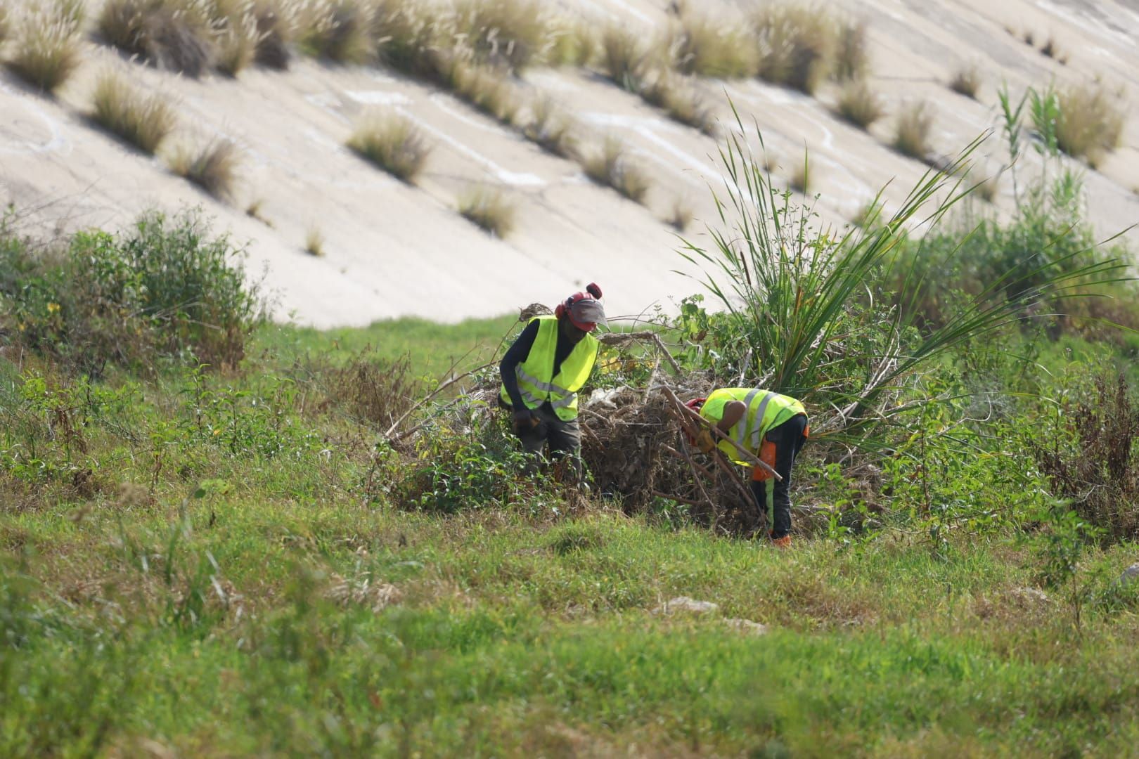 El Ayuntamiento de Valencia limpia el cauce del río ante el retraso de la CHJ