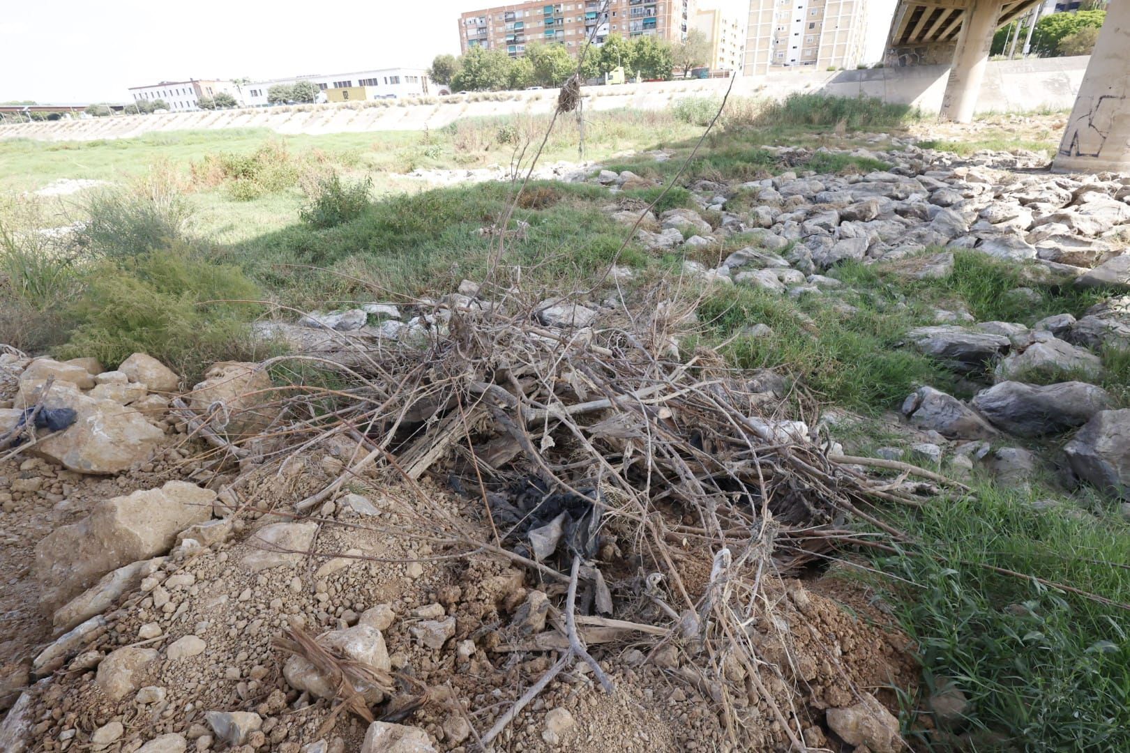 El Ayuntamiento de Valencia limpia el cauce del río ante el retraso de la CHJ