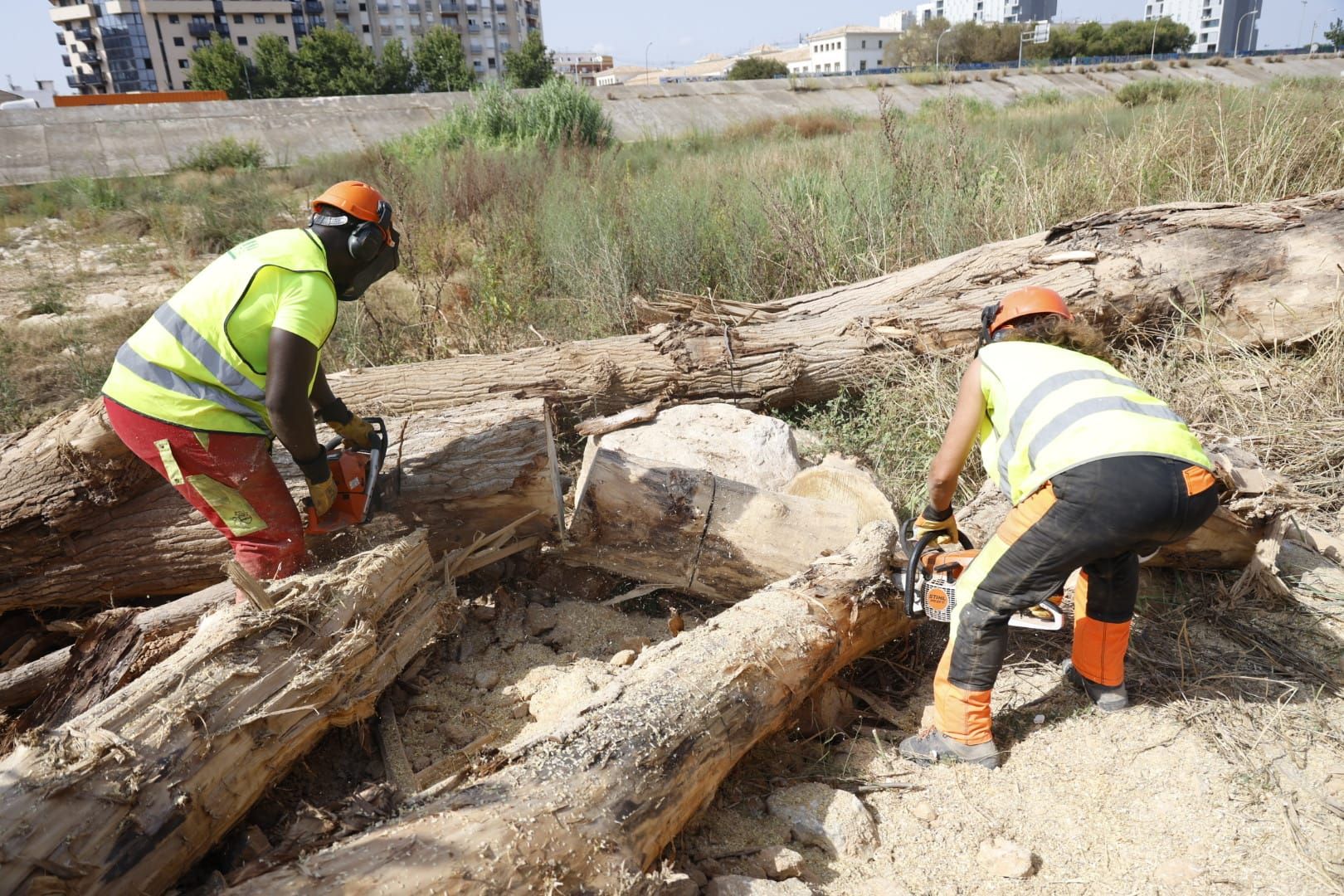 El Ayuntamiento de Valencia limpia el cauce del río ante el retraso de la CHJ