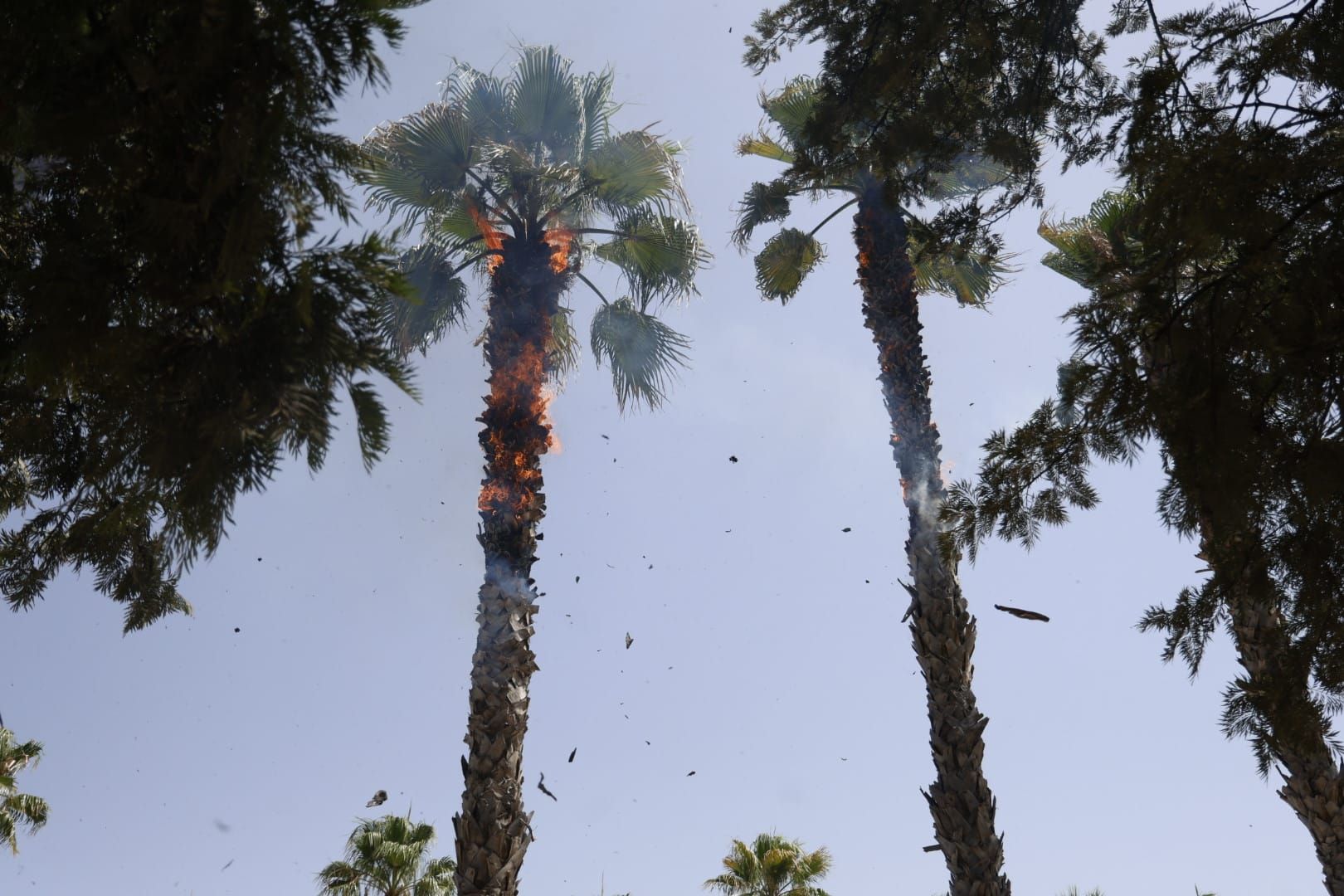 Así ha sido la mascletà más grande de la historia