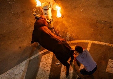 Fiestas Patronales de Museros 2025: ¿cuándo y cuáles son los actos?