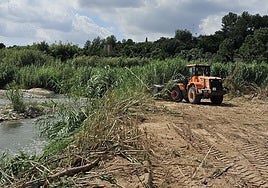 Trabajos de recuperación en el cauce del río Turia.