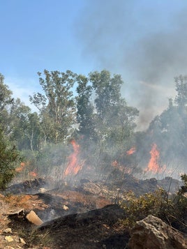 El incendio declarado en la zona del Saladar de Xàbia.